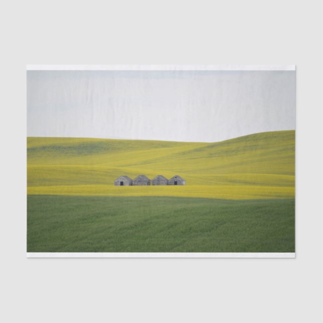 Four Barns Snuggled Within Massive, Rolling Hills Tissue Paper (Front)