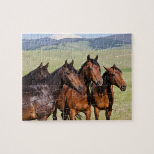 Four Beautiful Horses - 110 piece Jigsaw Puzzle