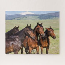 Four Beautiful Horses Jigsaw Puzzle