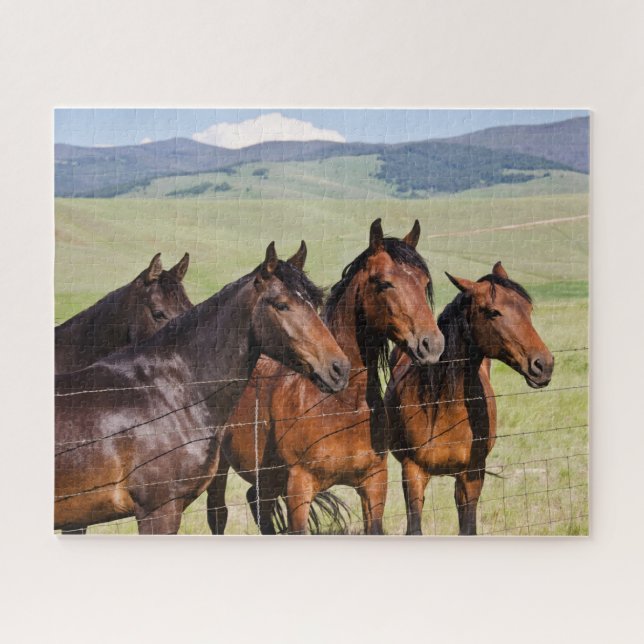 Four Beautiful Horses Jigsaw Puzzle (Horizontal)