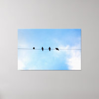 Four Birds on a Wire (photography by me)