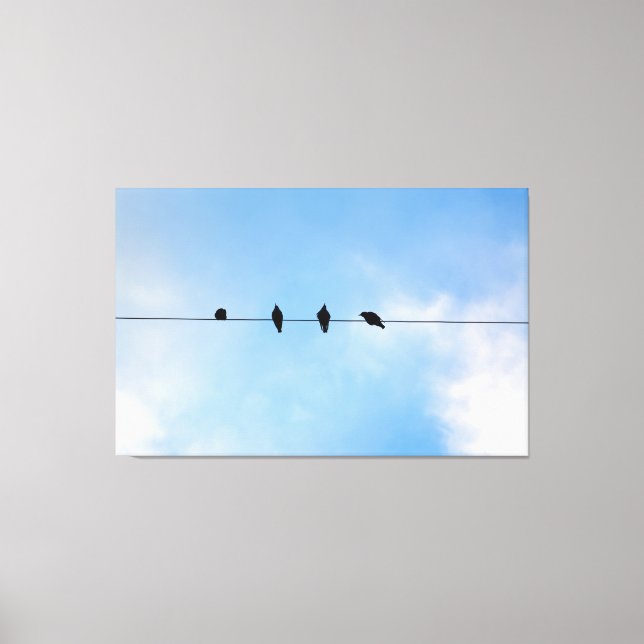 Four Birds on a Wire (photography by me) Canvas Print (Front)