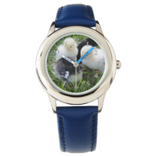 Four Black and Yellow Baby Chicken chicks Watch