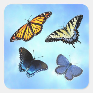 Four Butterflies Sticker