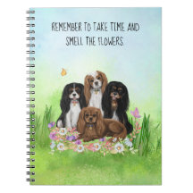 Four Cavalier King Charles Spaniels in Flowers  