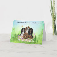 Four Cavalier King Charles Spaniels in Flowers