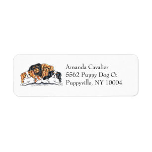 Four Cavalier King Charles Spaniels Simple