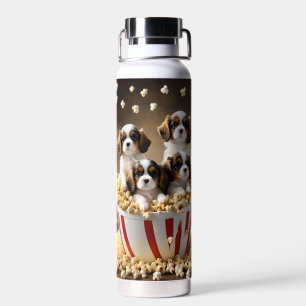 Four Cavalier Spaniel Puppies In The Popcorn, Water Bottle
