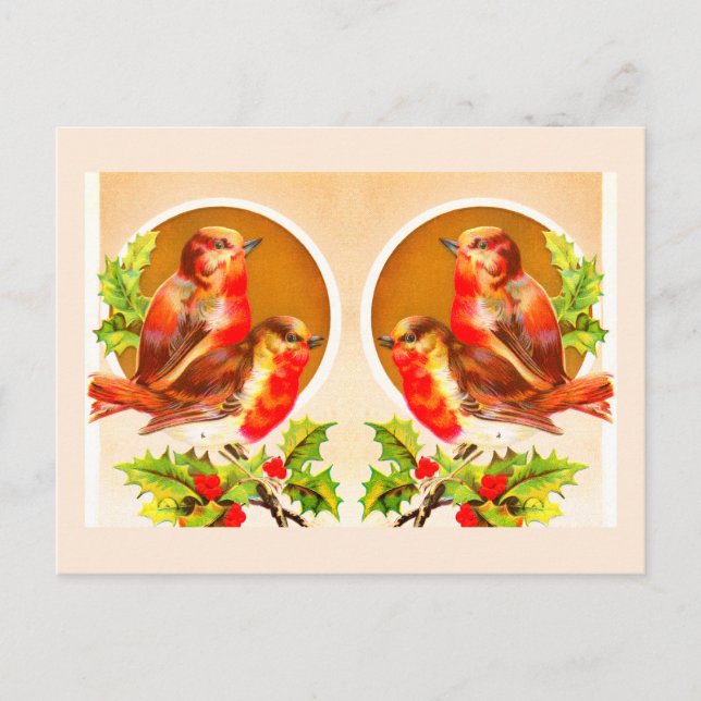 Four Christmas robins postcard (Front)