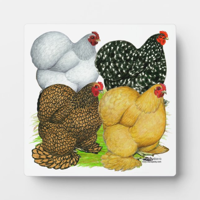 Four Cochin Hens Plaque (Front)