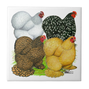 Four Cochin Hens Tile
