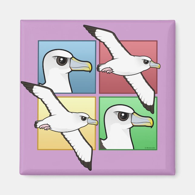 Four Colour Albatross Magnet (Front)