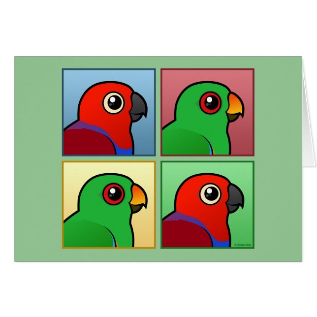 Four Colour Eclectus (Front Horizontal)