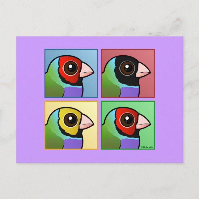 Four Colour Gouldian Finch Postcard (Front)