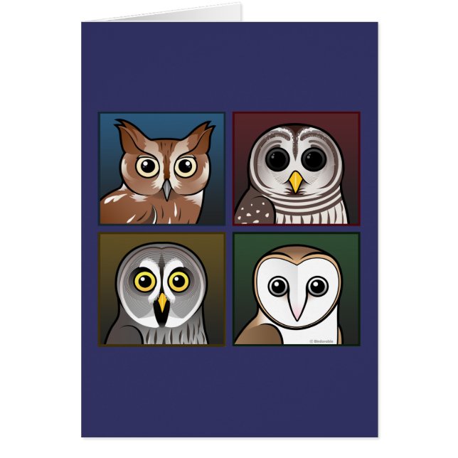 Four Colour Owls (dark) (Front)