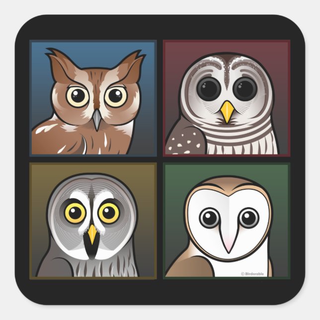 Four Colour Owls (dark) Square Sticker (Front)