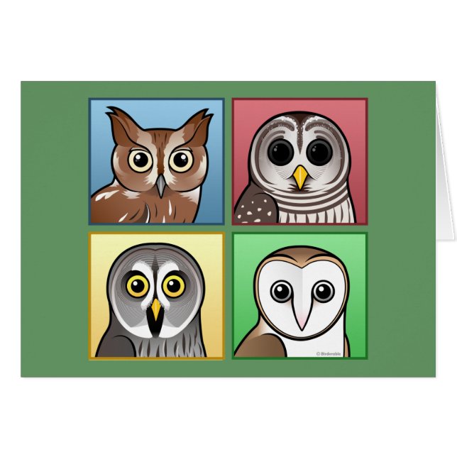 Four Colour Owls (pastel) (Front Horizontal)