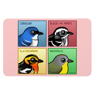 Four Colour Warblers Magnet