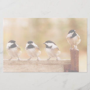 Four Cute Chickadees Stationery