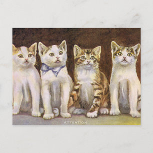 Four Cute Kittens Vintage Illustration Postcard