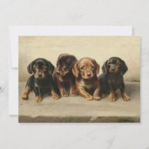 Four Dachshund Puppies   Carl Reichert