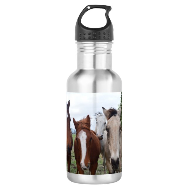 Four Different Colour Horses, Water Bottle (Front)