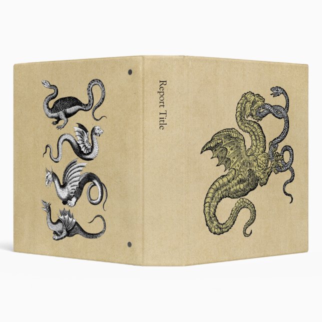 Four Dragons Binder (Background)