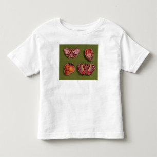 Four enamelled and jewelled boxes, butterfly toddler t-shirt
