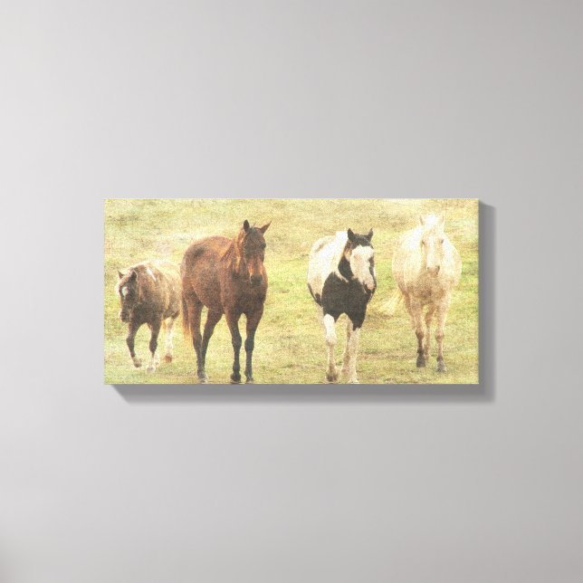 Four Equine Canvas Print (Front)