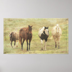 Four Equine Poster