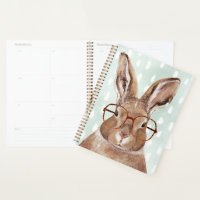 Four-Eyed Forester | Bunny Rabbit