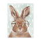 Four-Eyed Forester | Bunny Rabbit