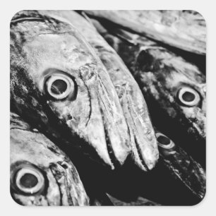four eyes square sticker
