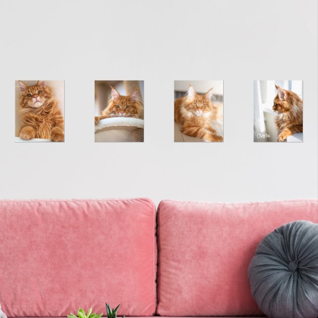 Four Family Cat 8x10 Photo (Livingroom)