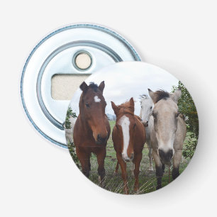 Four Farm Horses ,Magnetic, Bottle Opener