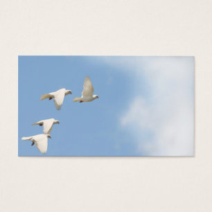 Four flying doves