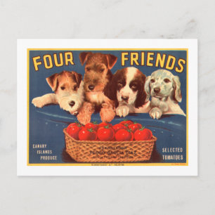 Four Friends Vintage Tomato Crate Label Dogs Postcard