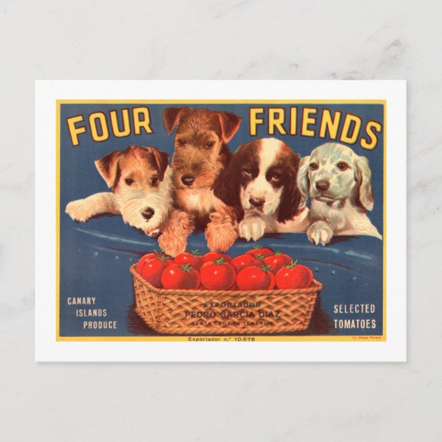 Four Friends Vintage Tomato Crate Label Dogs Postcard (Front)