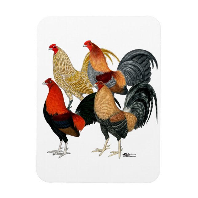 Four Gamecocks Magnet (Vertical)
