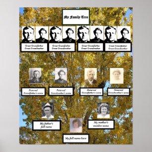 Four Generation Fall Cottonwood Family Tree Photos Poster