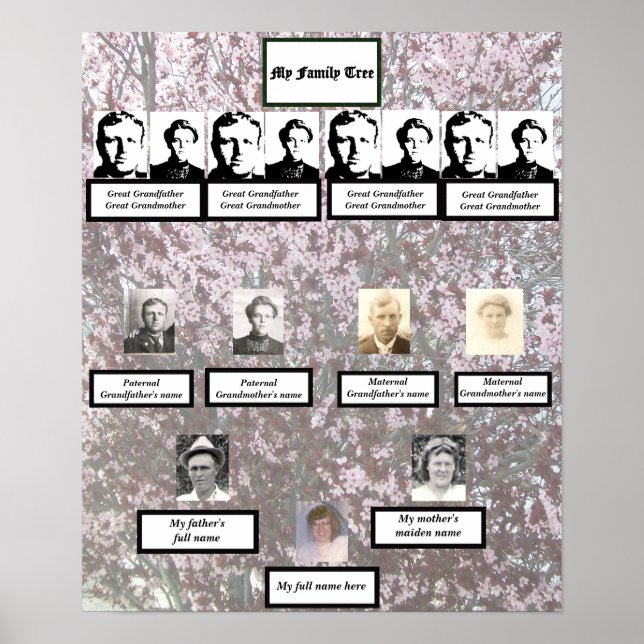 Four Generation Plum Blossom Family Tree Poster (Devant)
