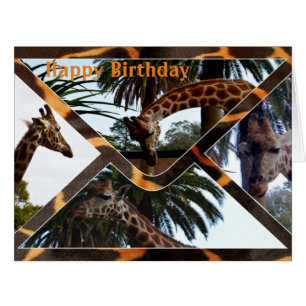 Four Giraffes On A Giraffe Envelope, Birthday Card