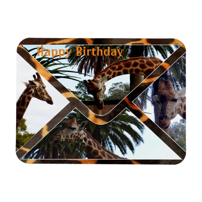 Four Giraffes On A Giraffe Envelope, Magnet (Horizontal)