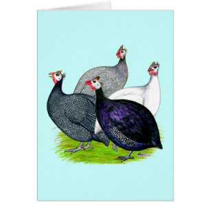 Four Guineas