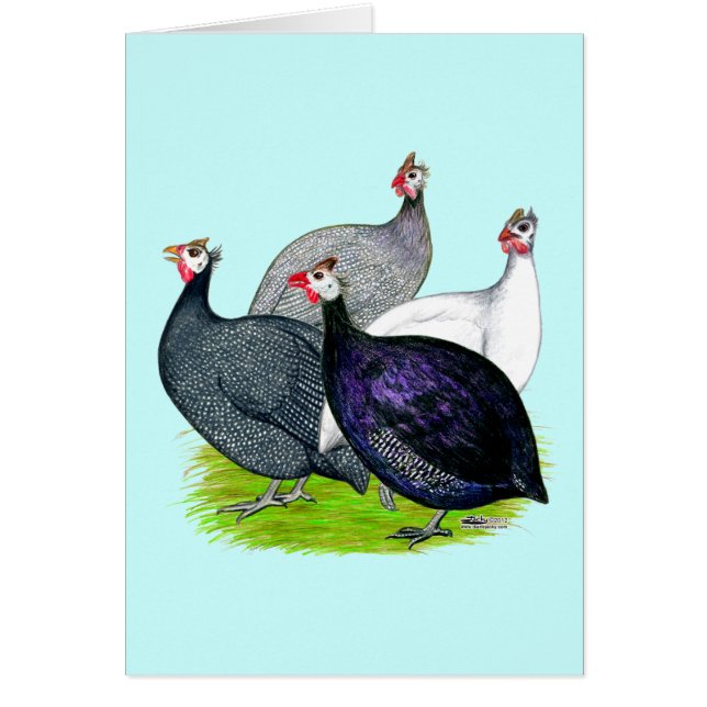 Four Guineas (Front)