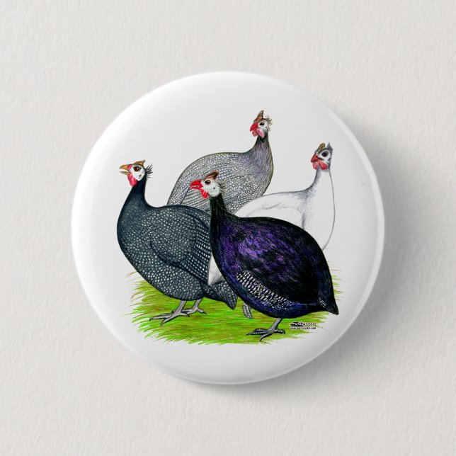 Four Guineas 2 Inch Round Button (Front)