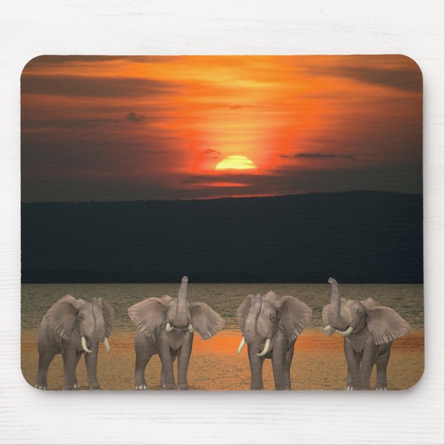 Four Happy Elephants Mouse Pad (Front)