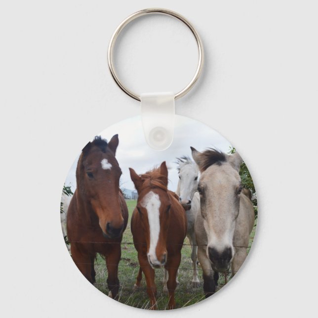 Four Horse Friend Of Different Breeds, Keychain (Front)