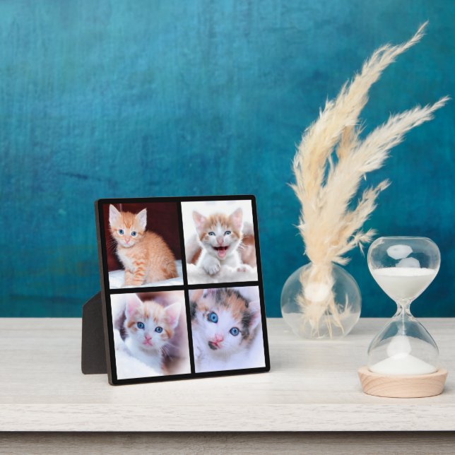 Four Kitten Photo Collage Black Plaque (Insitu)