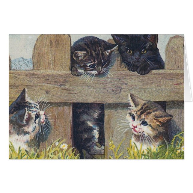 Four Kittens Playing Vintage Illustration (Front Horizontal)